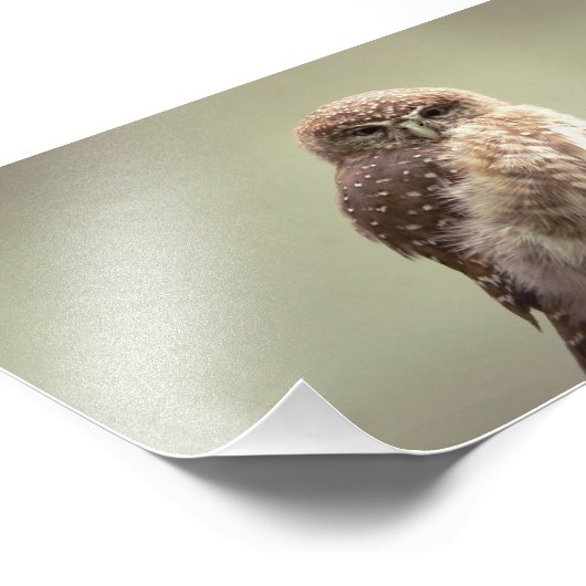 Goedemorgen, foto afdruk (Hoek)