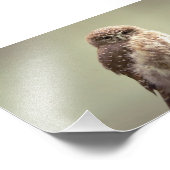 Goedemorgen, foto foto afdruk (Hoek)