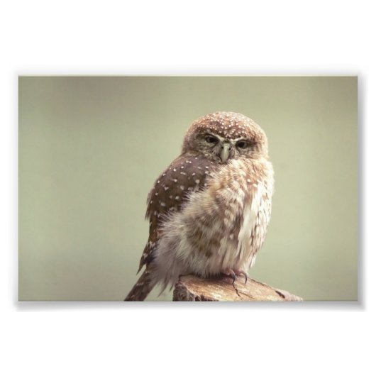 Goedemorgen, foto foto afdruk (Voorkant)