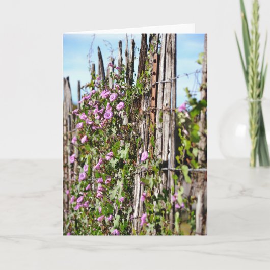 Goedemorgen Glory Flowers Scripture Kaart Hebrews  (Voorkant)