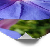 "Goedemorgen, Glory" Poster (Hoek)