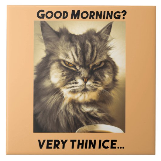 Goedemorgen! Heel dun ijs. Kat met ironische aanra Tegeltje (Voorkant)