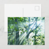 Goedemorgen in het bos briefkaart (Voorkant / Achterkant)