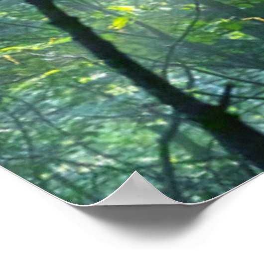 Goedemorgen in het bos poster (Hoek)