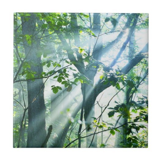 Goedemorgen in het bos tegeltje (Voorkant)