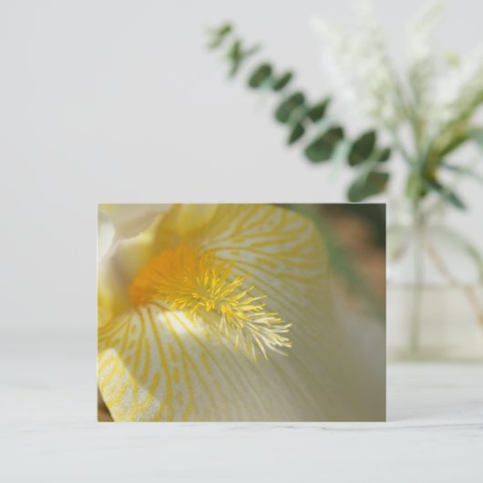 Goedemorgen, Iris. Briefkaart (Staand voorkant)