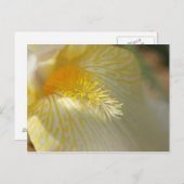 Goedemorgen, Iris. Briefkaart (Voorkant / Achterkant)