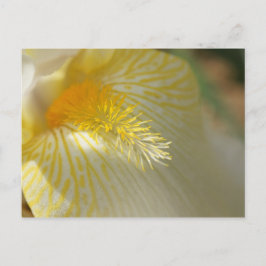 Goedemorgen, Iris. Briefkaart