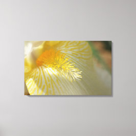 Goedemorgen Iris! Canvas Afdruk