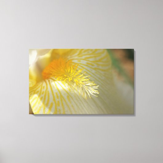 Goedemorgen Iris! Canvas Afdruk (Voorkant)