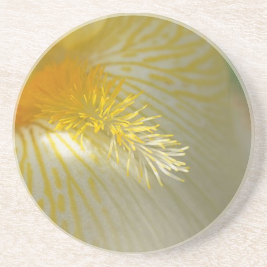 Goedemorgen Iris! Zandsteen Onderzetter (Voorkant)