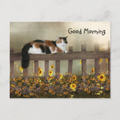 Goedemorgen kat calico briefkaart (Voorkant)