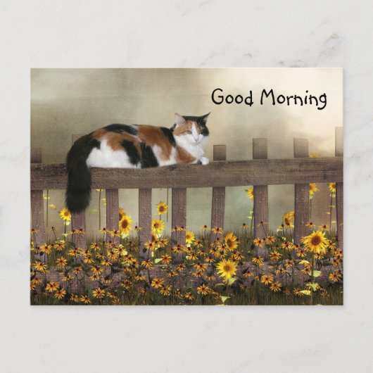 Goedemorgen kat calico briefkaart (Voorkant)