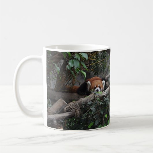 Goedemorgen, kleine Red Panda. Koffiemok (Links)