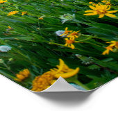 Goedemorgen Meadow, Poster (Hoek)