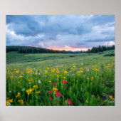 Goedemorgen Meadow, Poster (Voorkant)