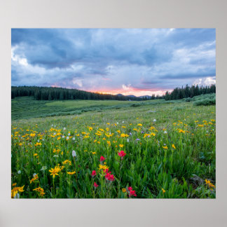 Goedemorgen Meadow, Poster