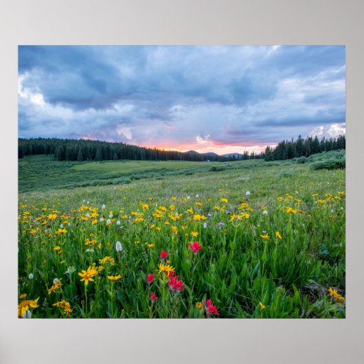 Goedemorgen Meadow, Poster (Voorkant)