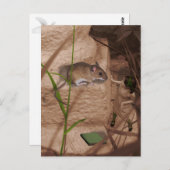 Goedemorgen Miss Mouse.. Briefkaart (Voorkant / Achterkant)