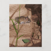 Goedemorgen Miss Mouse.. Briefkaart (Voorkant)