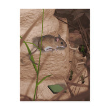 Goedemorgen Miss Mouse..