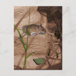 Goedemorgen Miss Mouse.. Briefkaart