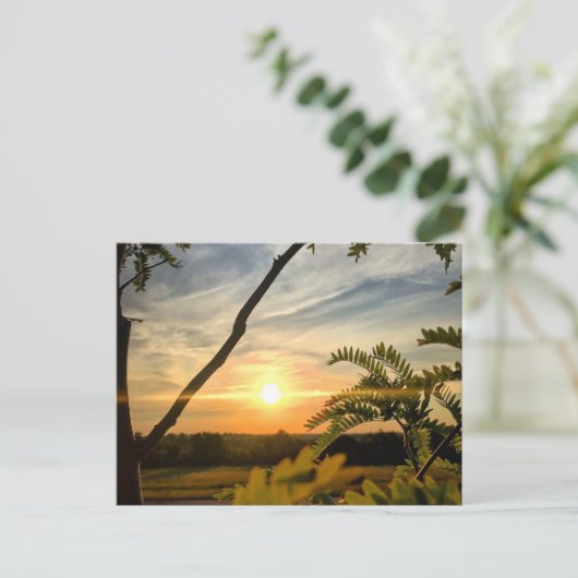 Goedemorgen, Oklahoma Briefkaart (Staand voorkant)