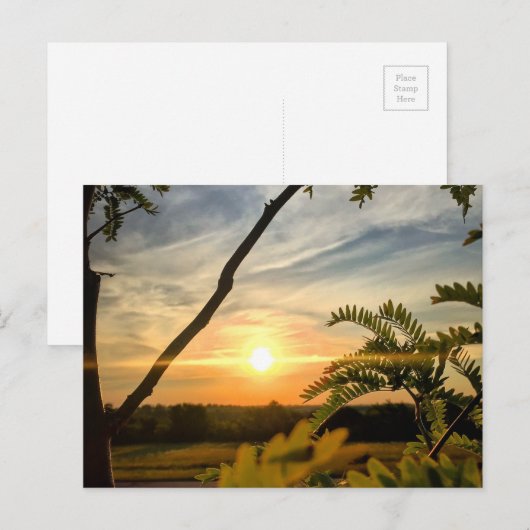 Goedemorgen, Oklahoma Briefkaart (Voorkant / Achterkant)