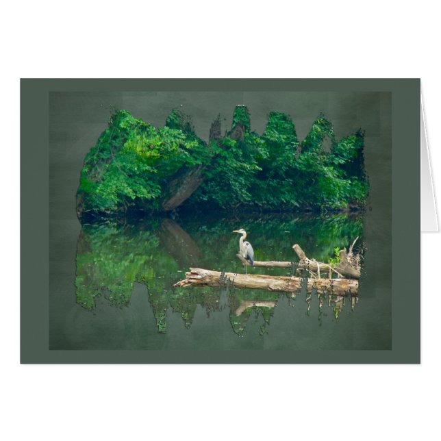 Goedemorgen op de Creek (Voorkant Horizontaal)