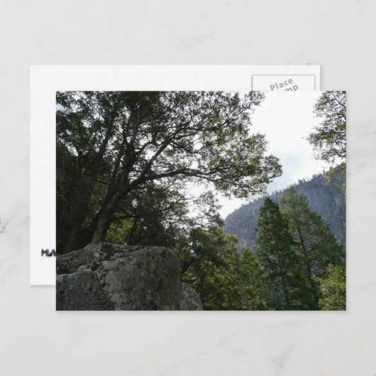 Goedemorgen op de Herfsten van de Trail naar de Ve Briefkaart (Voorkant / Achterkant)