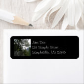 Goedemorgen op de Herfsten van de Trail naar de Ve Etiket (Insitu)