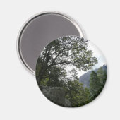 Goedemorgen op de Herfsten van de Trail naar de Ve Magneet (Voorkant / Achterkant)