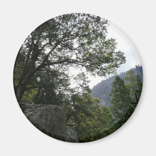 Goedemorgen op de Herfsten van de Trail naar de Ve Magneet (Voorkant)