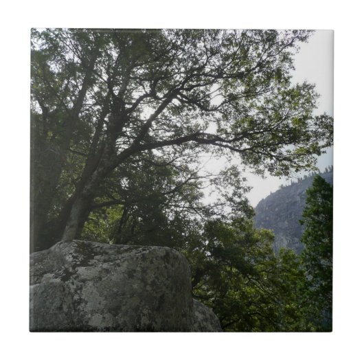 Goedemorgen op de Herfsten van de Trail naar de Ve Tegeltje (Voorkant)