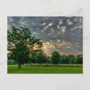 Goedemorgen Ozark Briefkaart