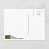 Goedemorgen Ozark Briefkaart (Achterkant)