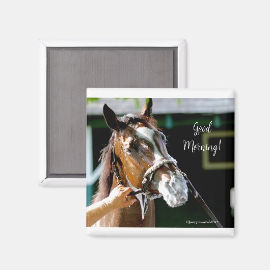 Goedemorgen! Paard Magneet (Voorkant / Achterkant)