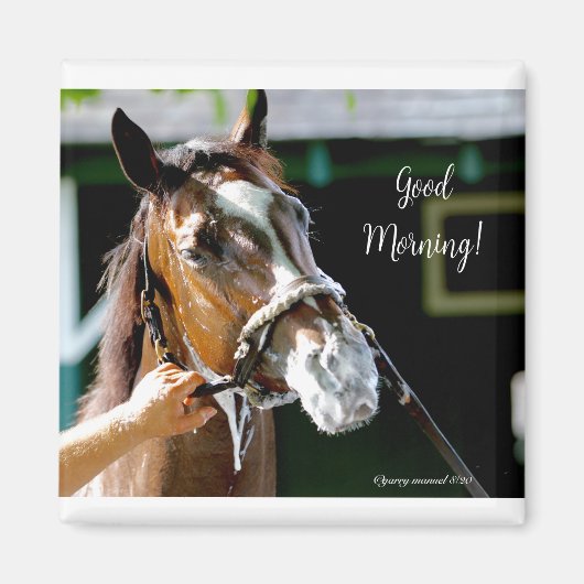 Goedemorgen! Paard Magneet (Voorkant)