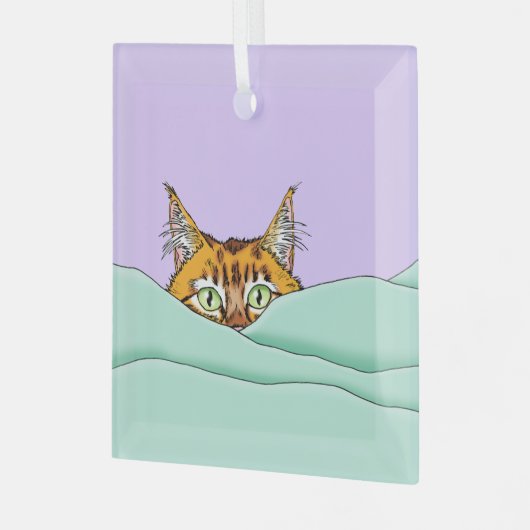 Goedemorgen Sinaasappel Cat Funny Glas Ornament (Voorkant links)