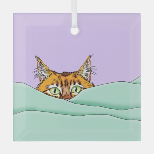 Goedemorgen Sinaasappel Cat Funny Glas Ornament (Voorkant)