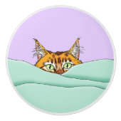 Goedemorgen Sinaasappel Cat Funny Keramische Knop (Voorkant)