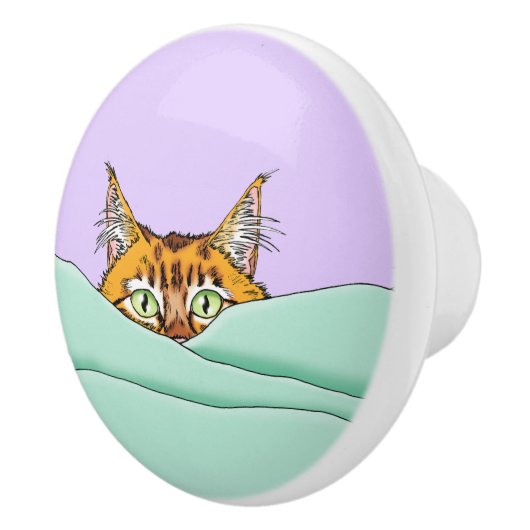 Goedemorgen Sinaasappel Cat Funny Keramische Knop (Rechts)