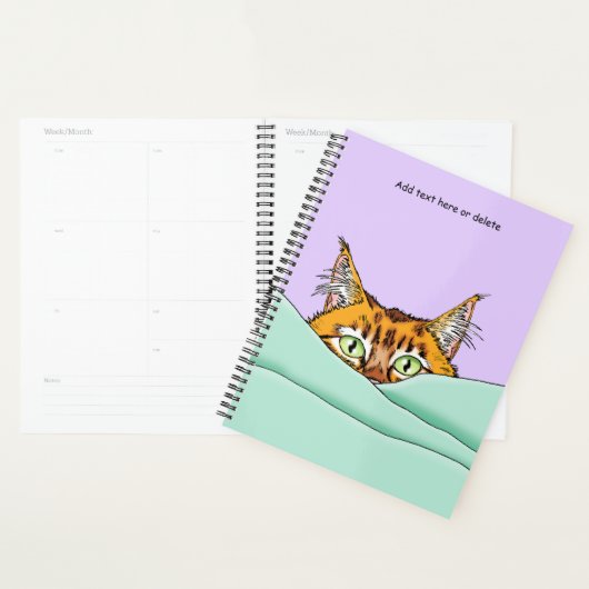 Goedemorgen Sinaasappel Cat Funny Planner (Display)