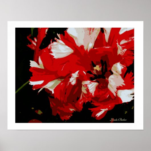 Goedemorgen Starshine door Linda Becker Poster (Voorkant)