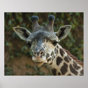 Goedemorgen vriend poster