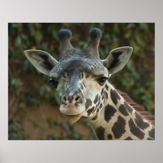 Goedemorgen vriend poster (Voorkant)