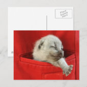 Goedemorgen wereld briefkaart (Voorkant / Achterkant)