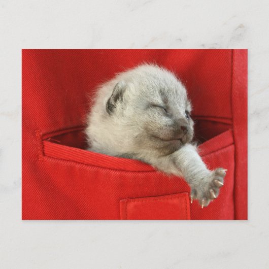 Goedemorgen wereld briefkaart (Voorkant)