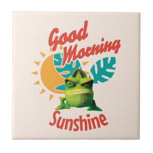 Goedemorgen Zonneschijn Grappige Kameleon Tegeltje
