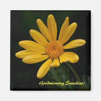 Goedemorgen Zonneschijn Magneet